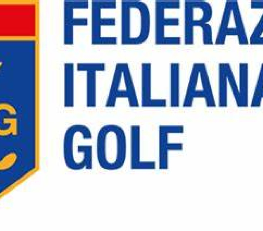 LOGO FIG